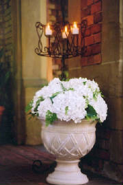 Reception Decor
